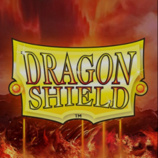 Inicio 10 Logo Dragon Shield