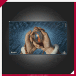 |||||||||||||||||||||||||||||||||||||||||||||||||||||||||||||||||||||||||||||||||