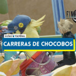 Jornada Adicional Carrera de chocobos