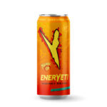 Eneryeti Mango GO